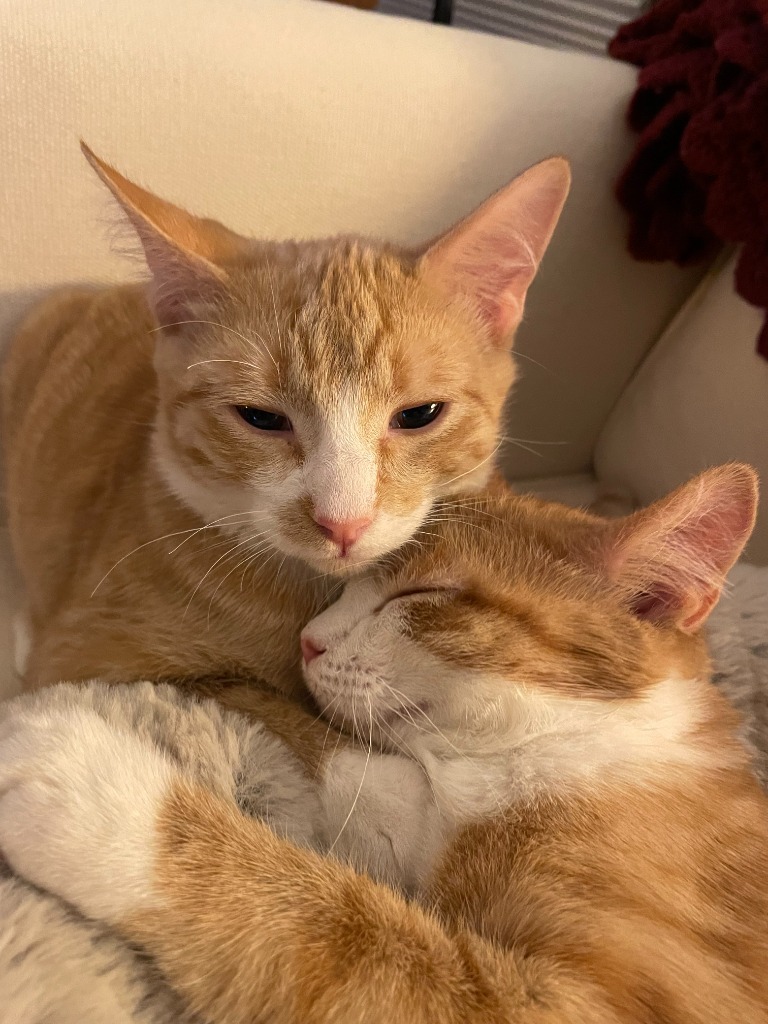 Peanut Butter / Scooter Magoo
