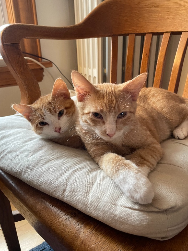 Peanut Butter / Scooter Magoo