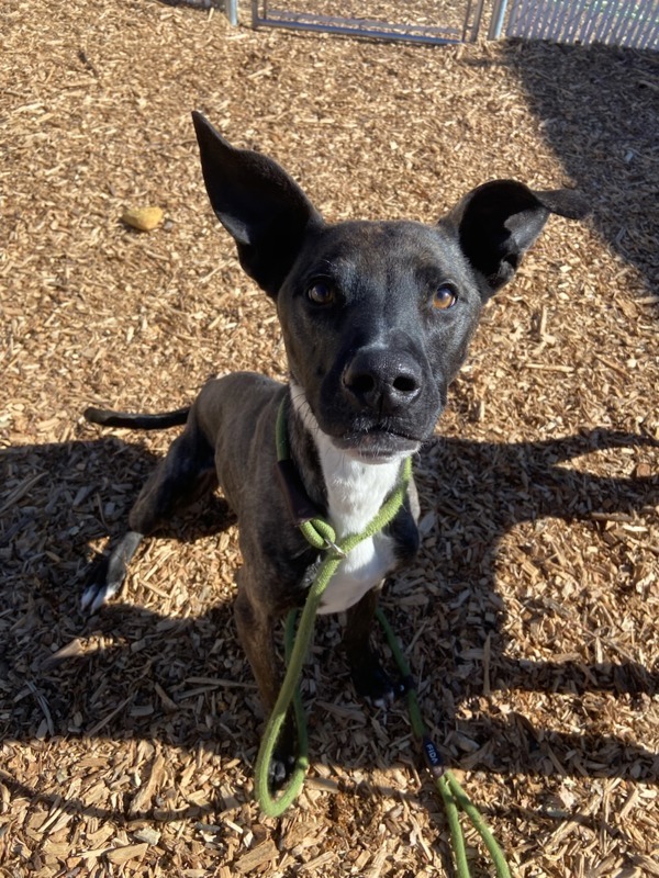 Argos Call 402-441-4490 To Meet!