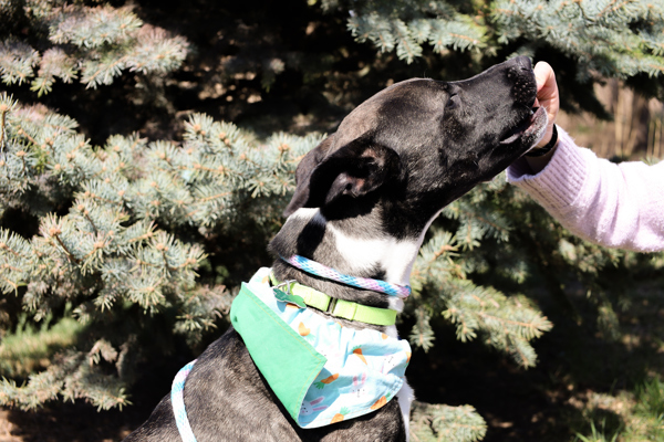 Argos Call 402-441-4490 To Meet!