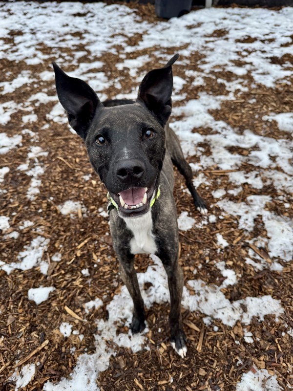 Argos Call 402-441-4490 To Meet!