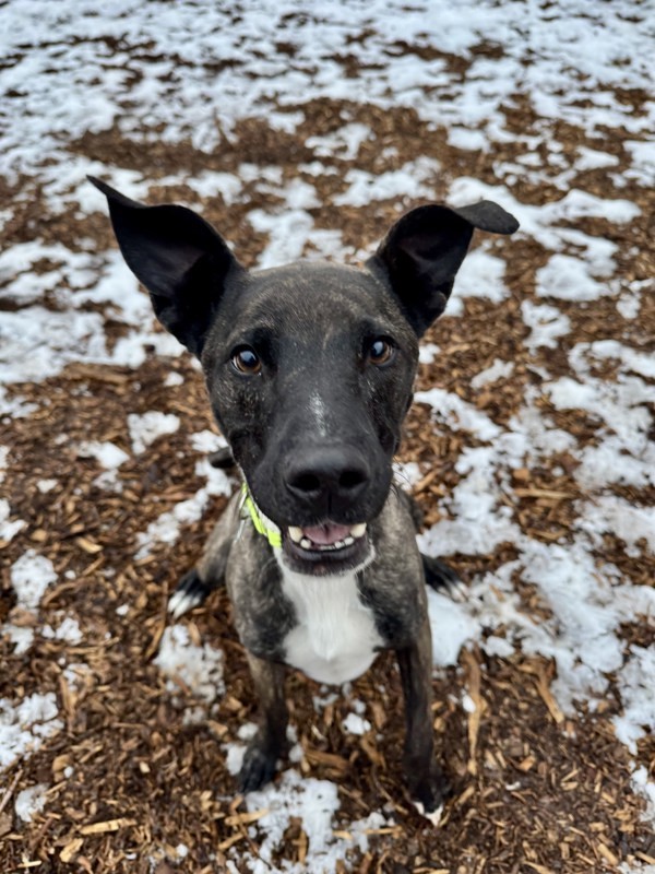 Argos Call 402-441-4490 To Meet!