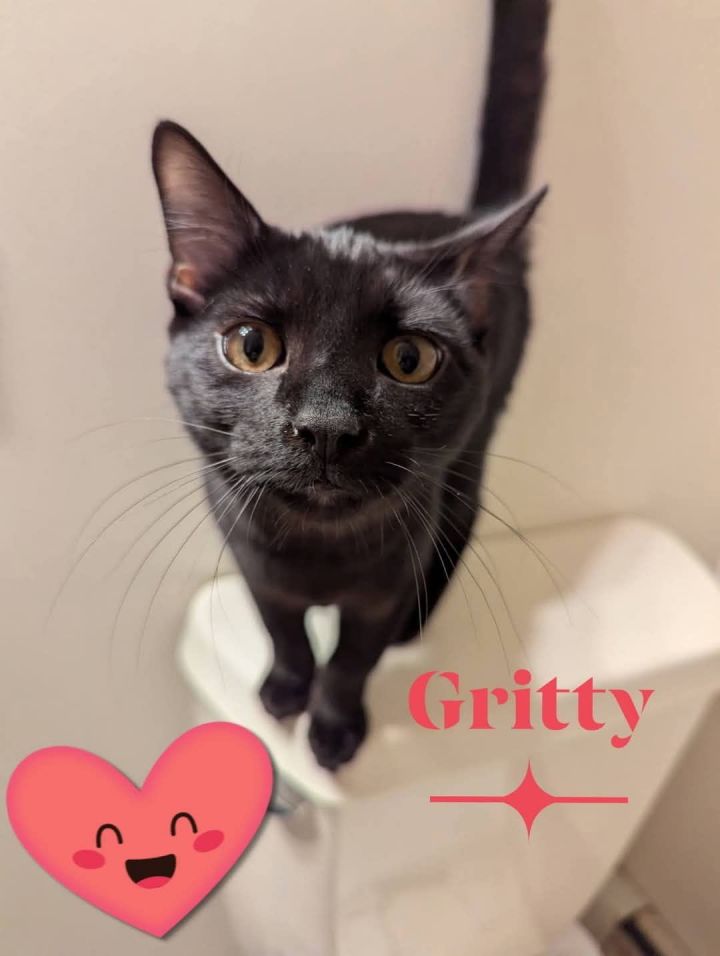 Gritty 2