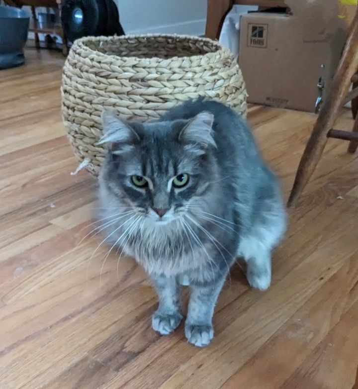 Fluffy 2