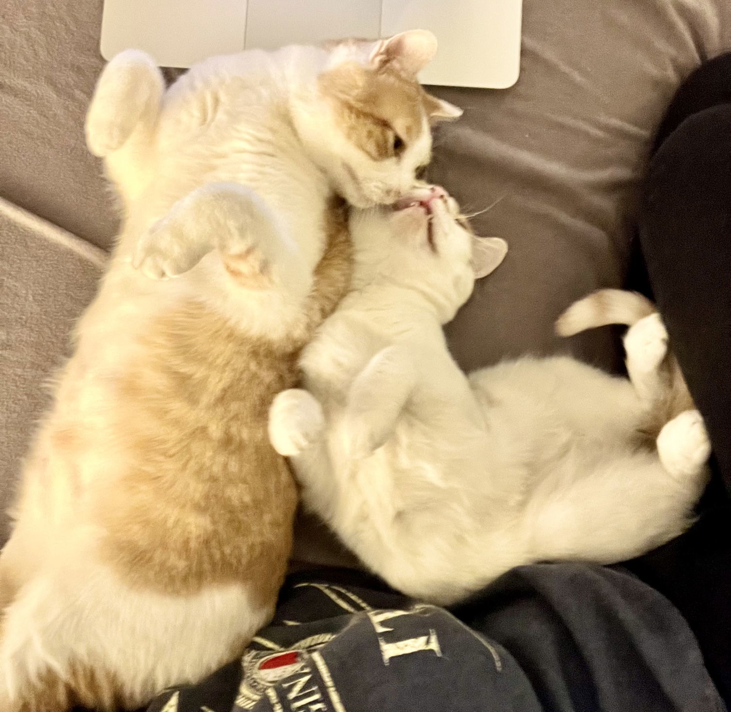 Keegan and Finny