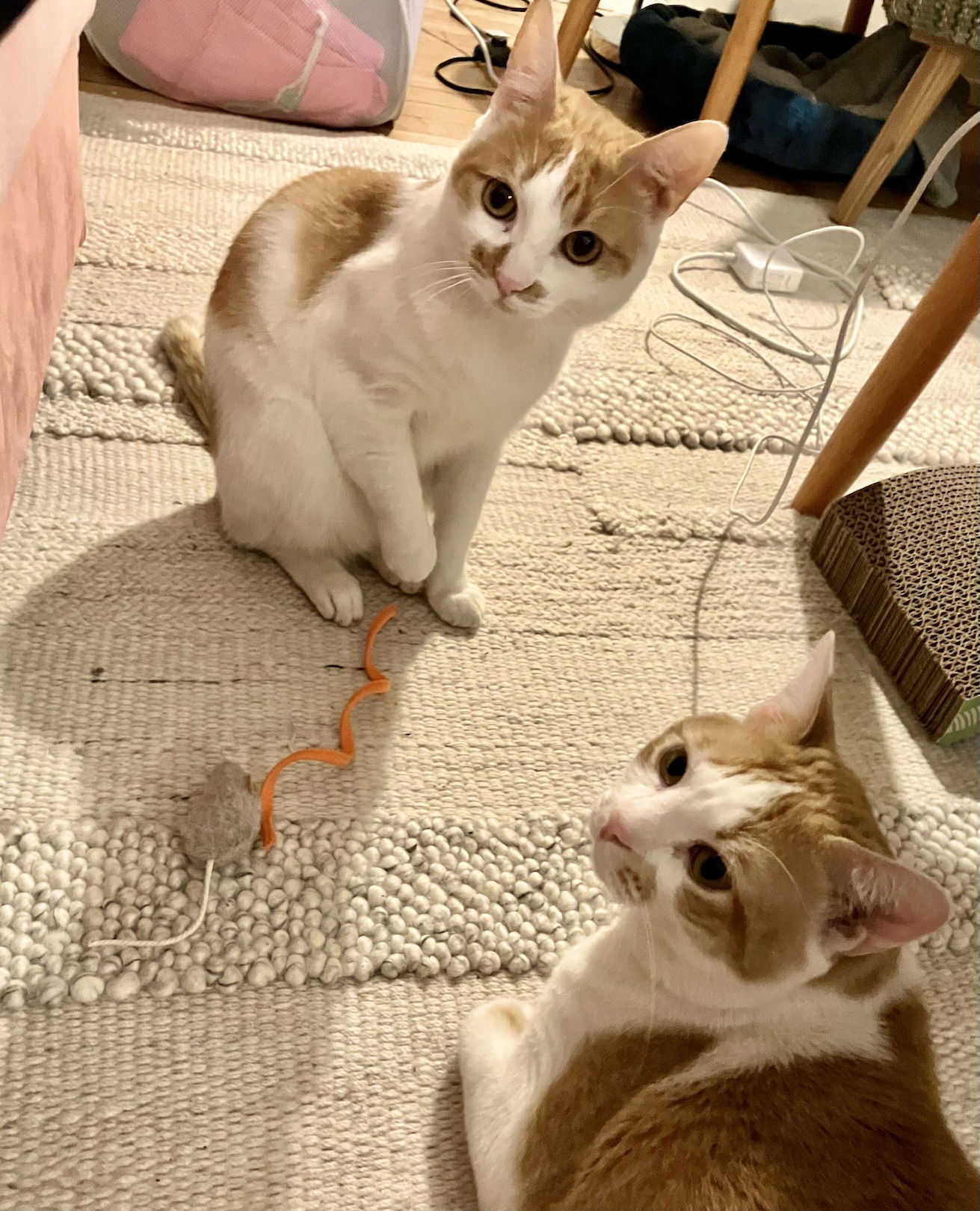 Keegan and Finny
