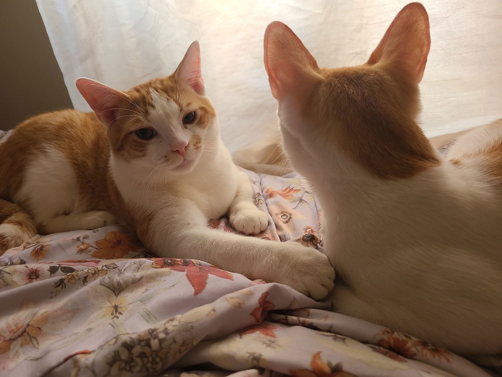 Keegan and Finny