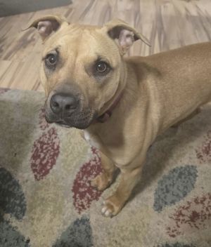 Greta