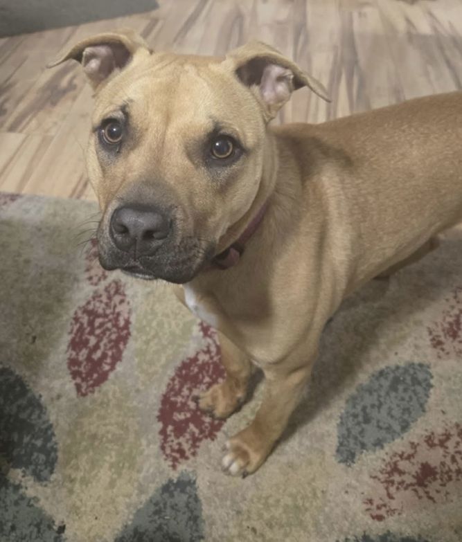 Greta