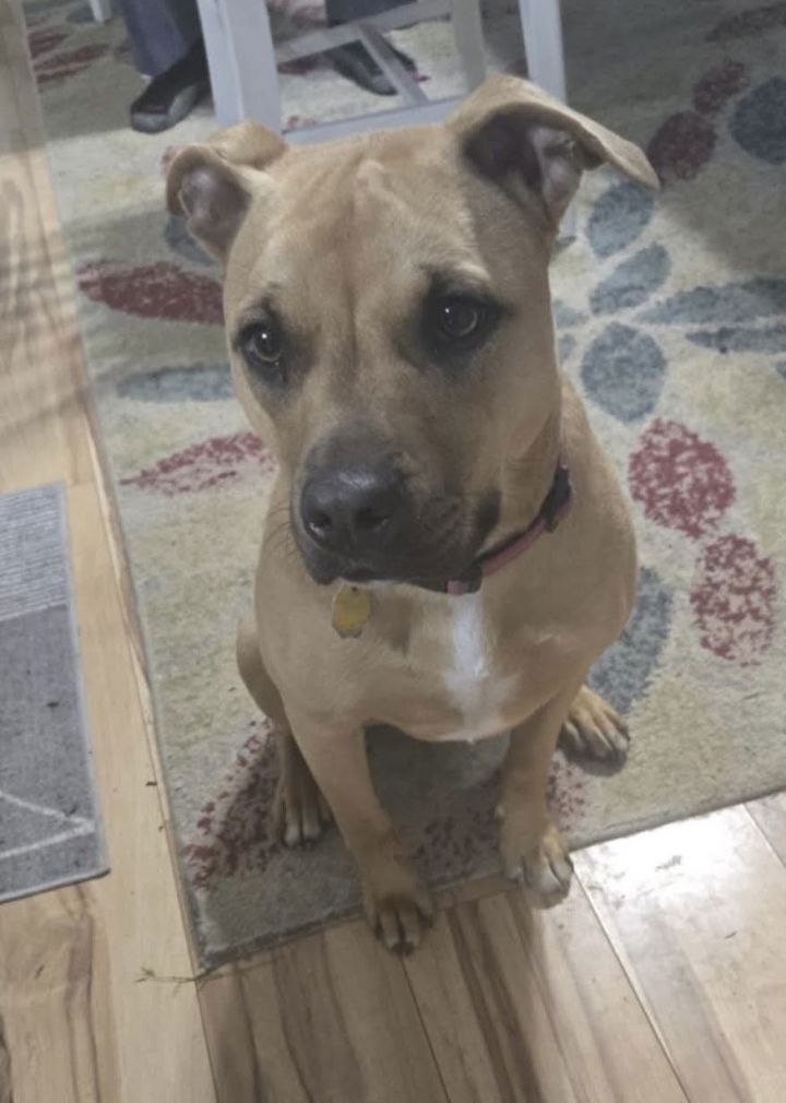 Greta 3