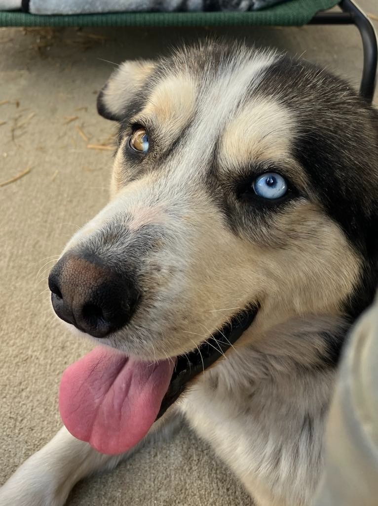 Einstein