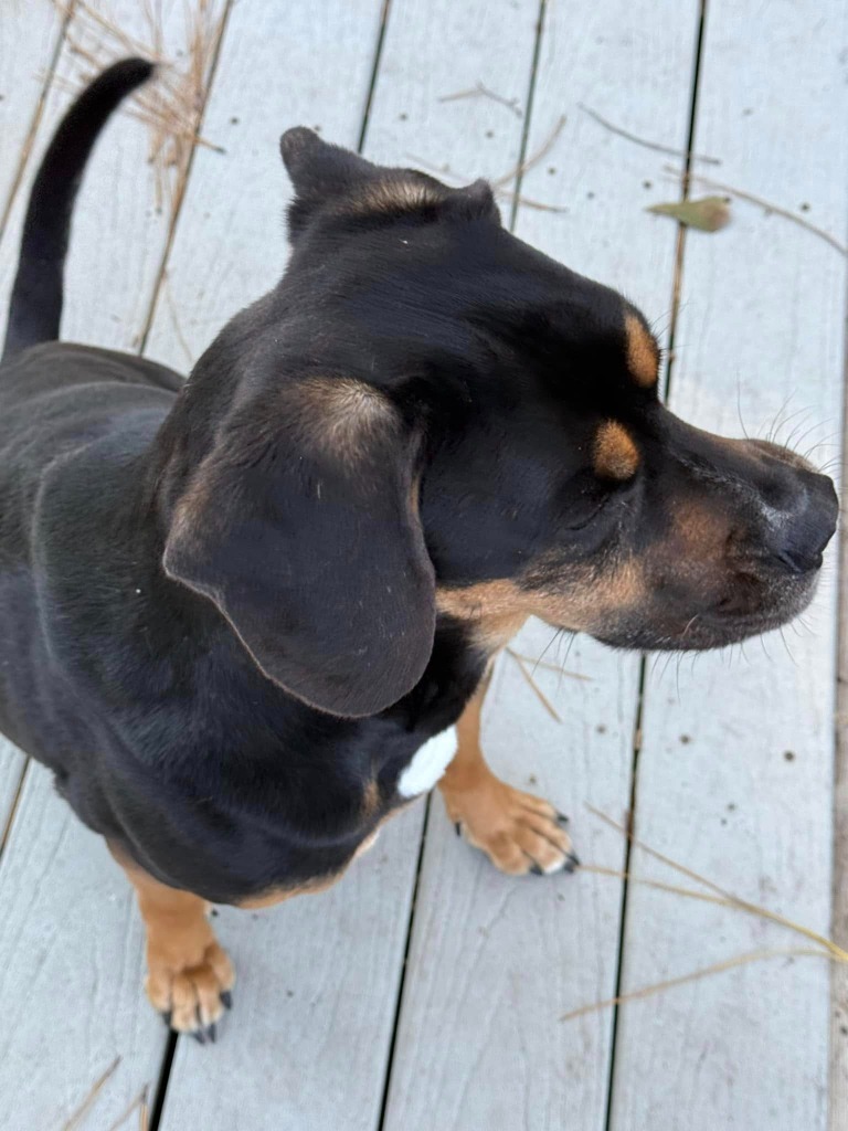 Digby