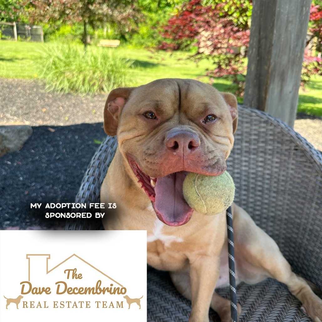 Chase-IN FOSTER