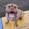 Chase-IN FOSTER photo 3