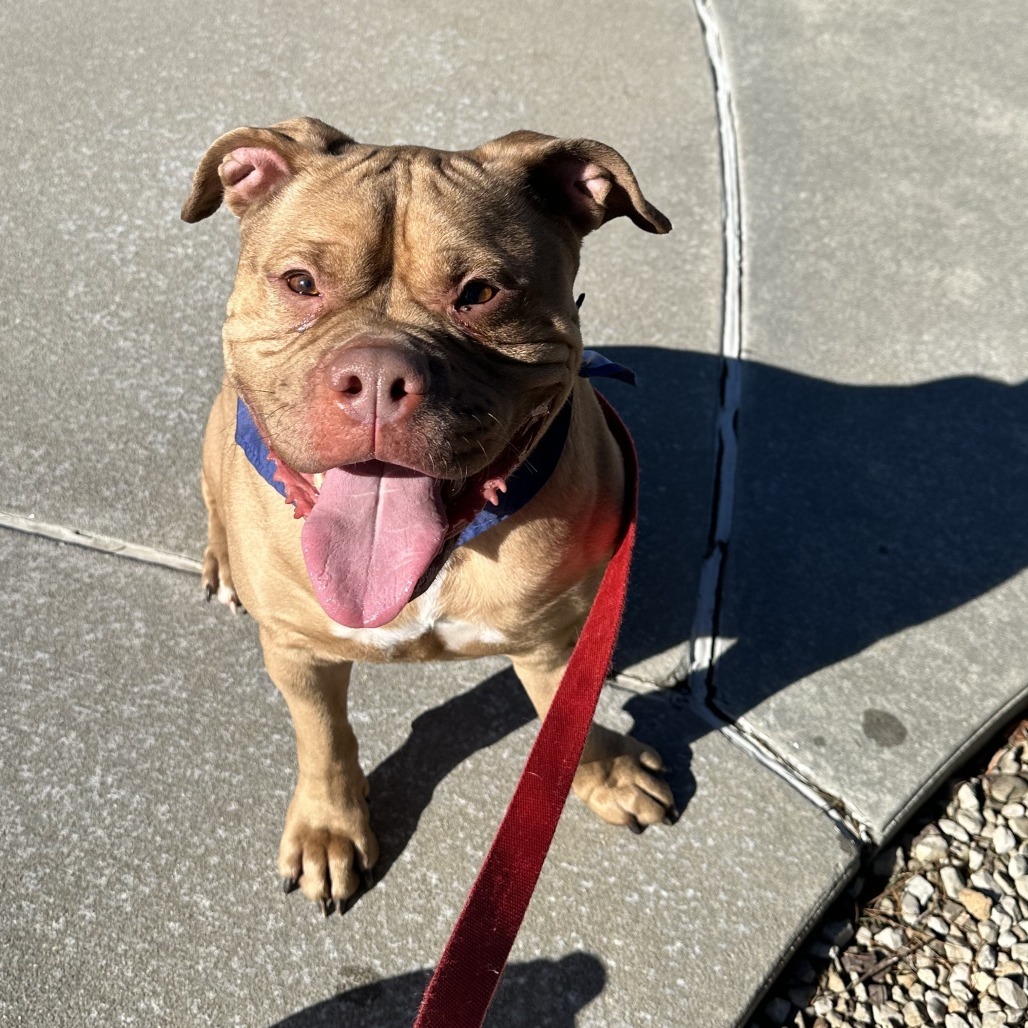 Chase-IN FOSTER