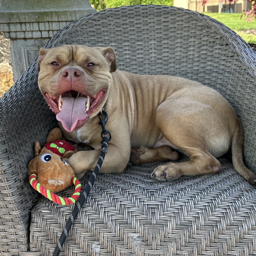 Chase-IN FOSTER
