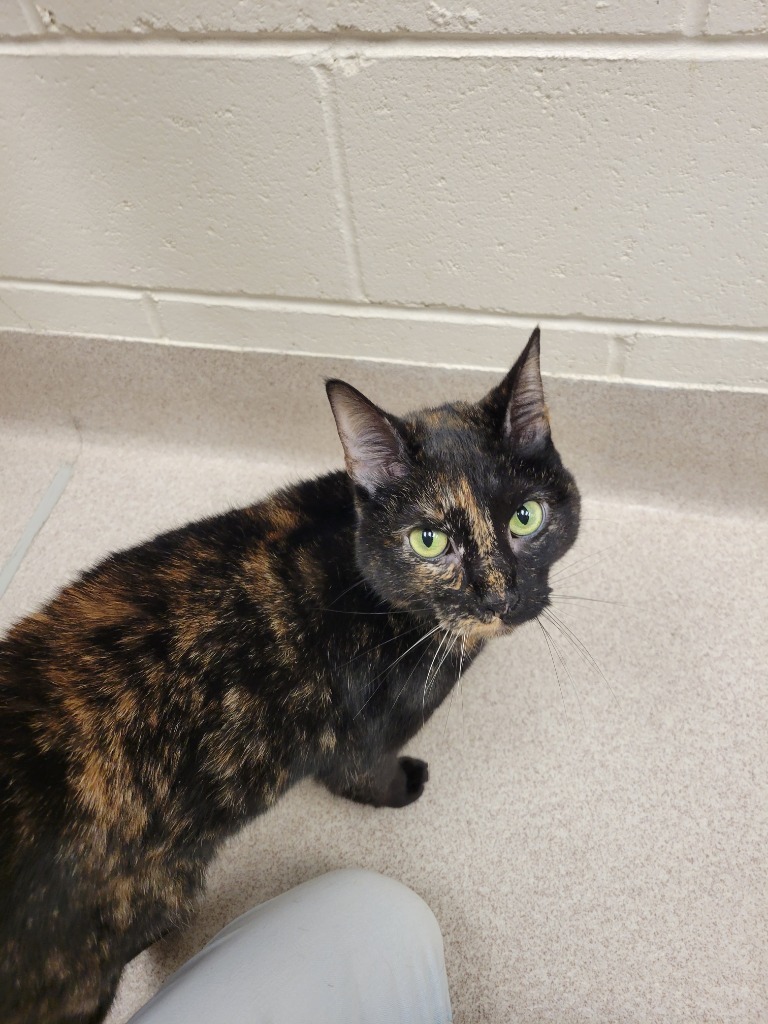 Chloe