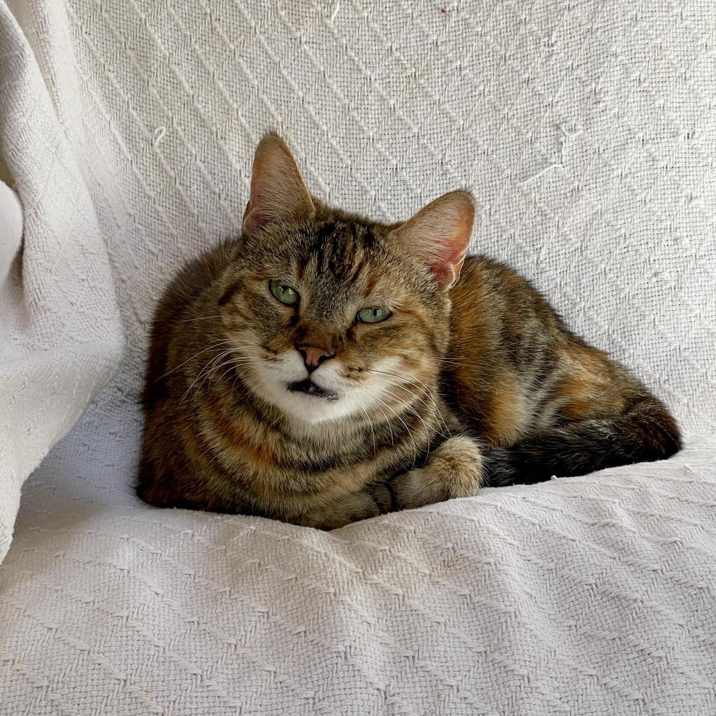 Katie