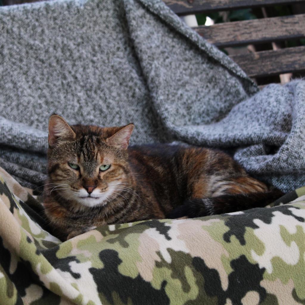 Katie