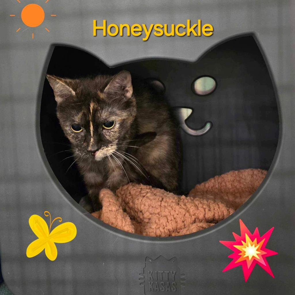 Honey Suckle