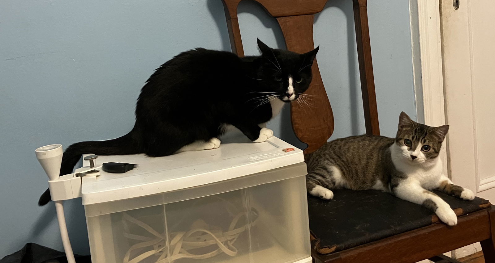 Charlie and Farrah