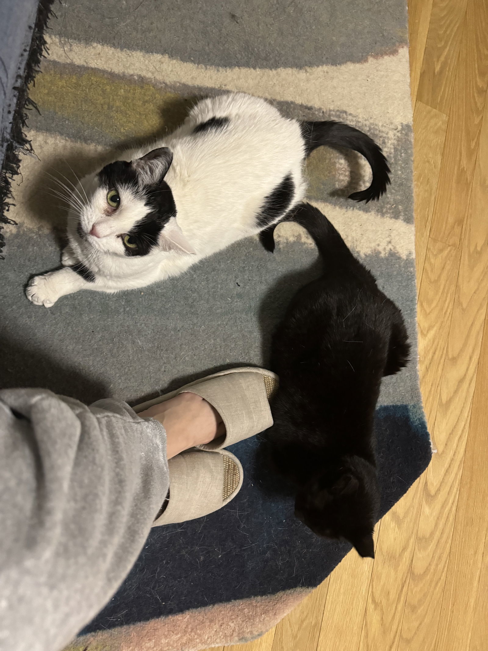 Michelle and Pearl