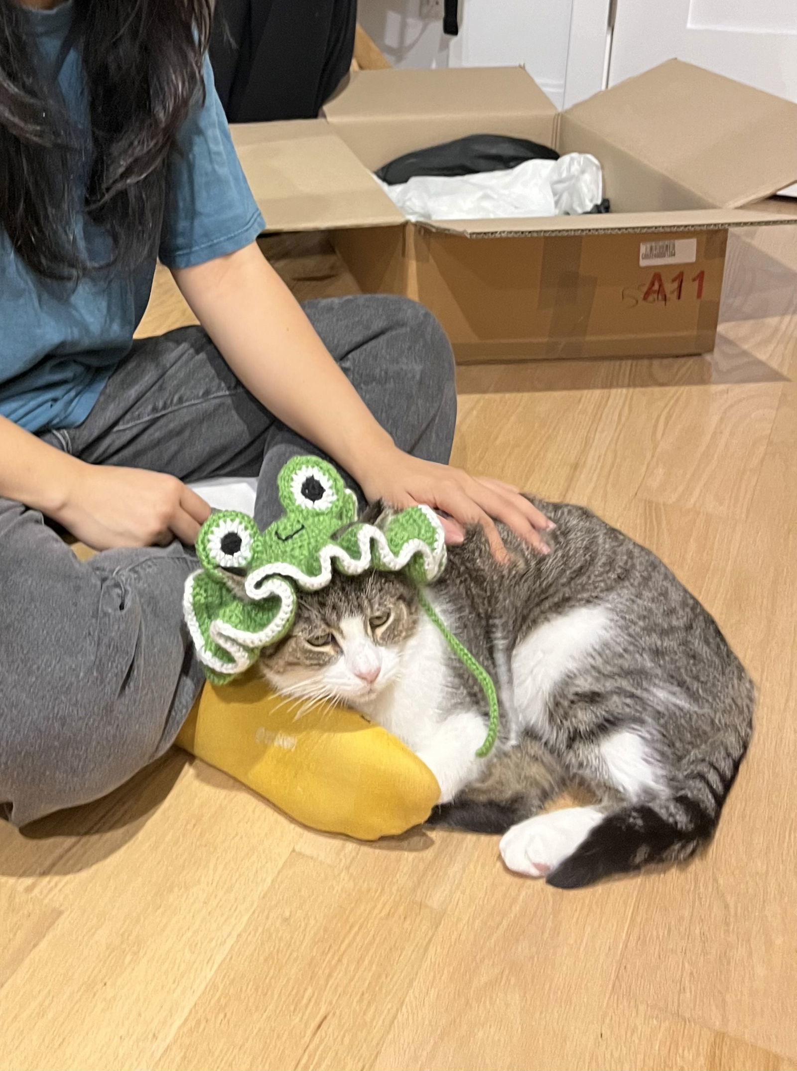Jumbo