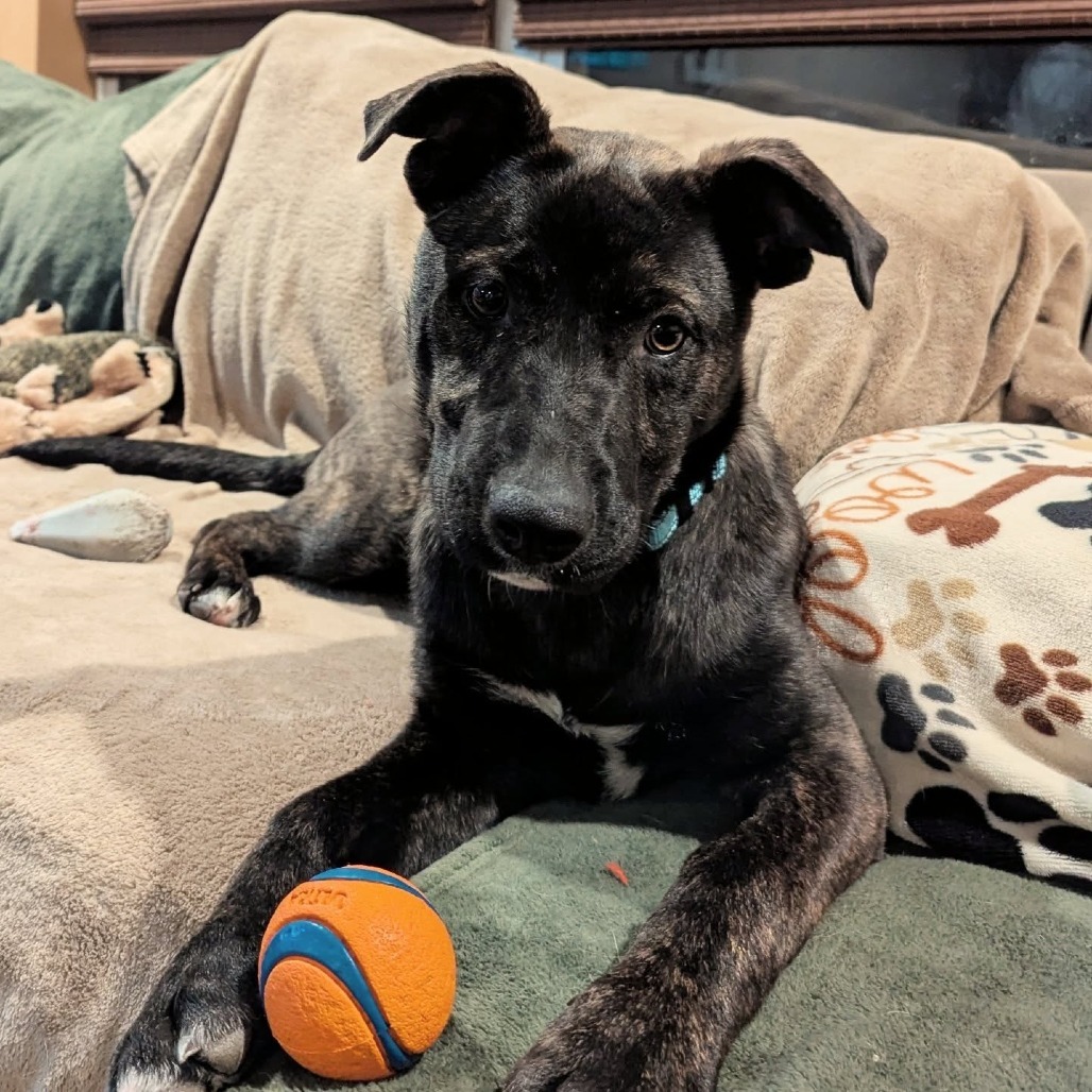 Xena