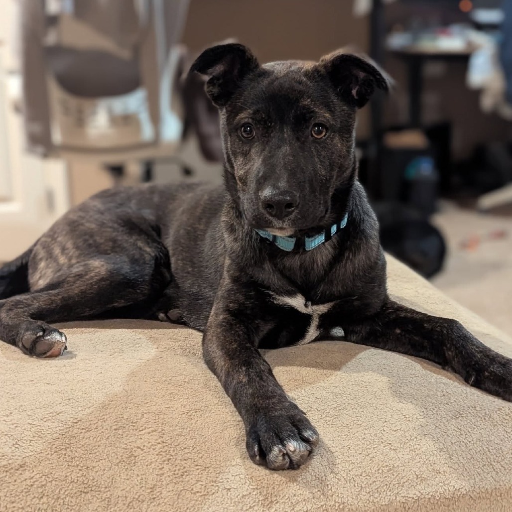 Xena