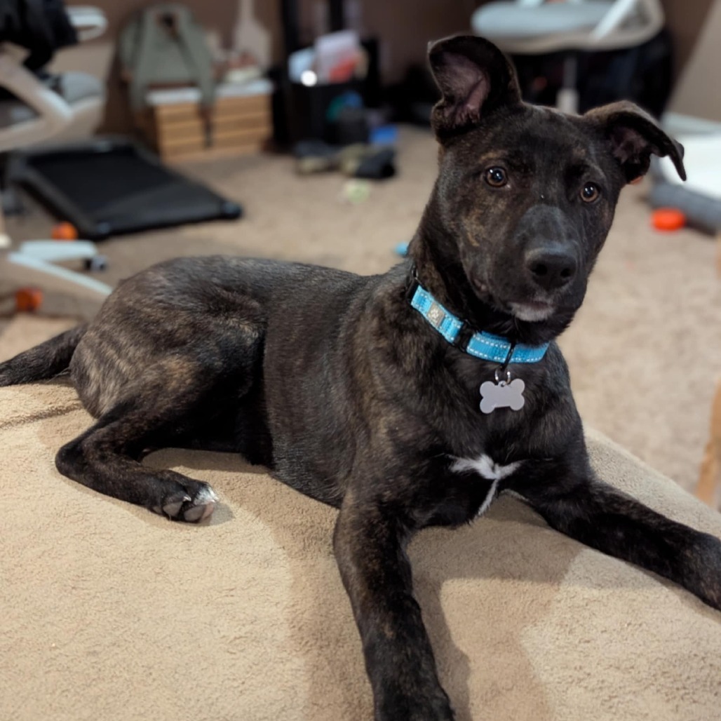 Xena