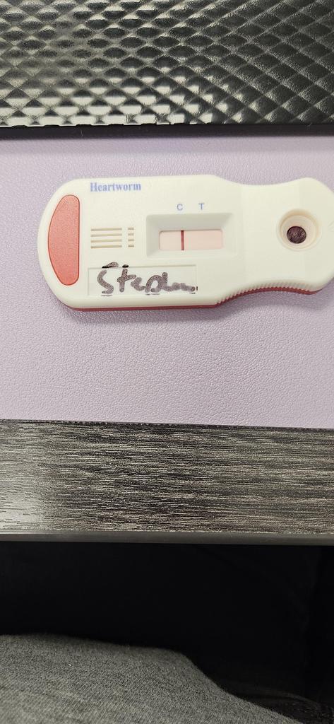 Stefan
