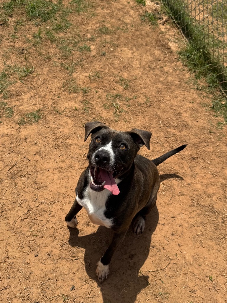 Minnie