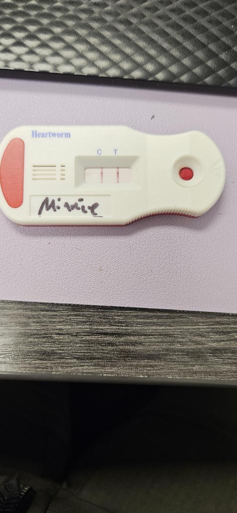Minnie