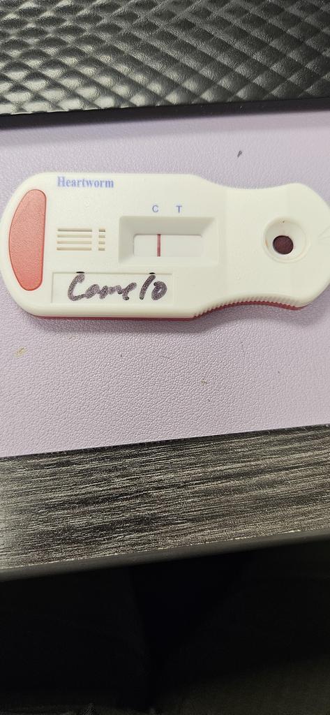 Canelo