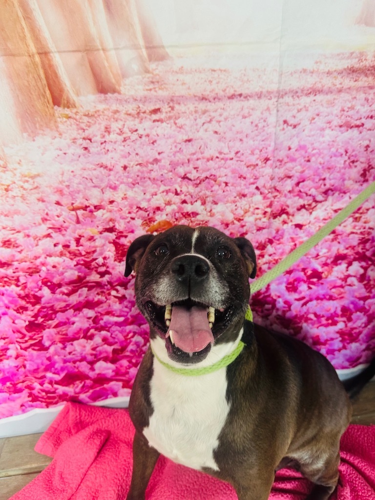Remi