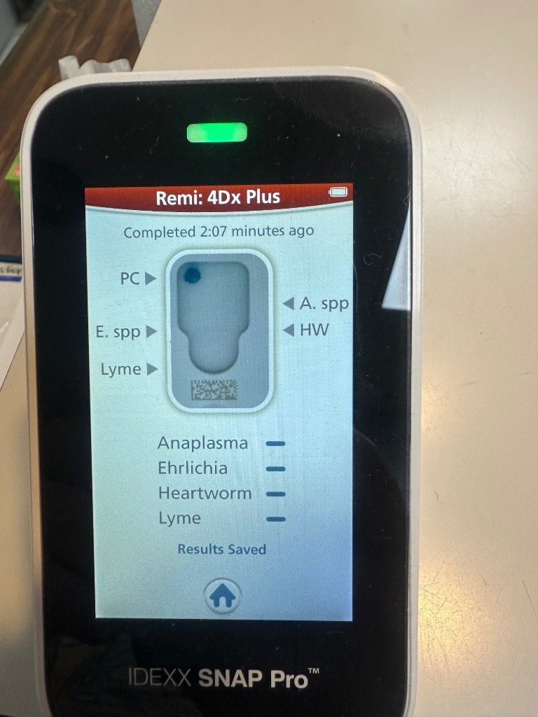 Remi