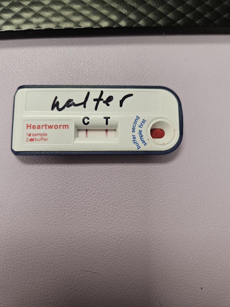 Walter