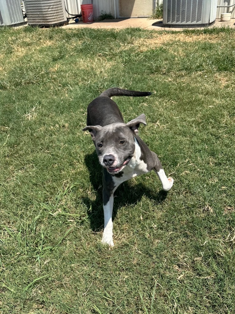 Walter