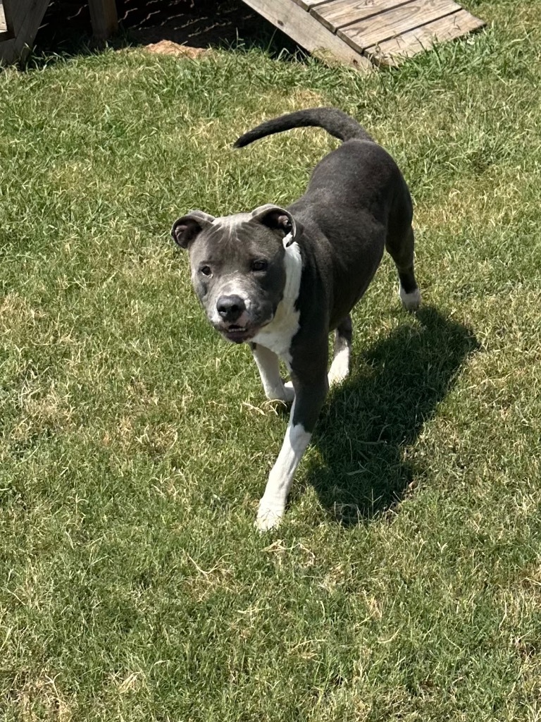 Walter