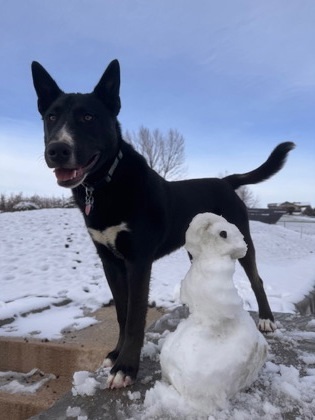 Milo