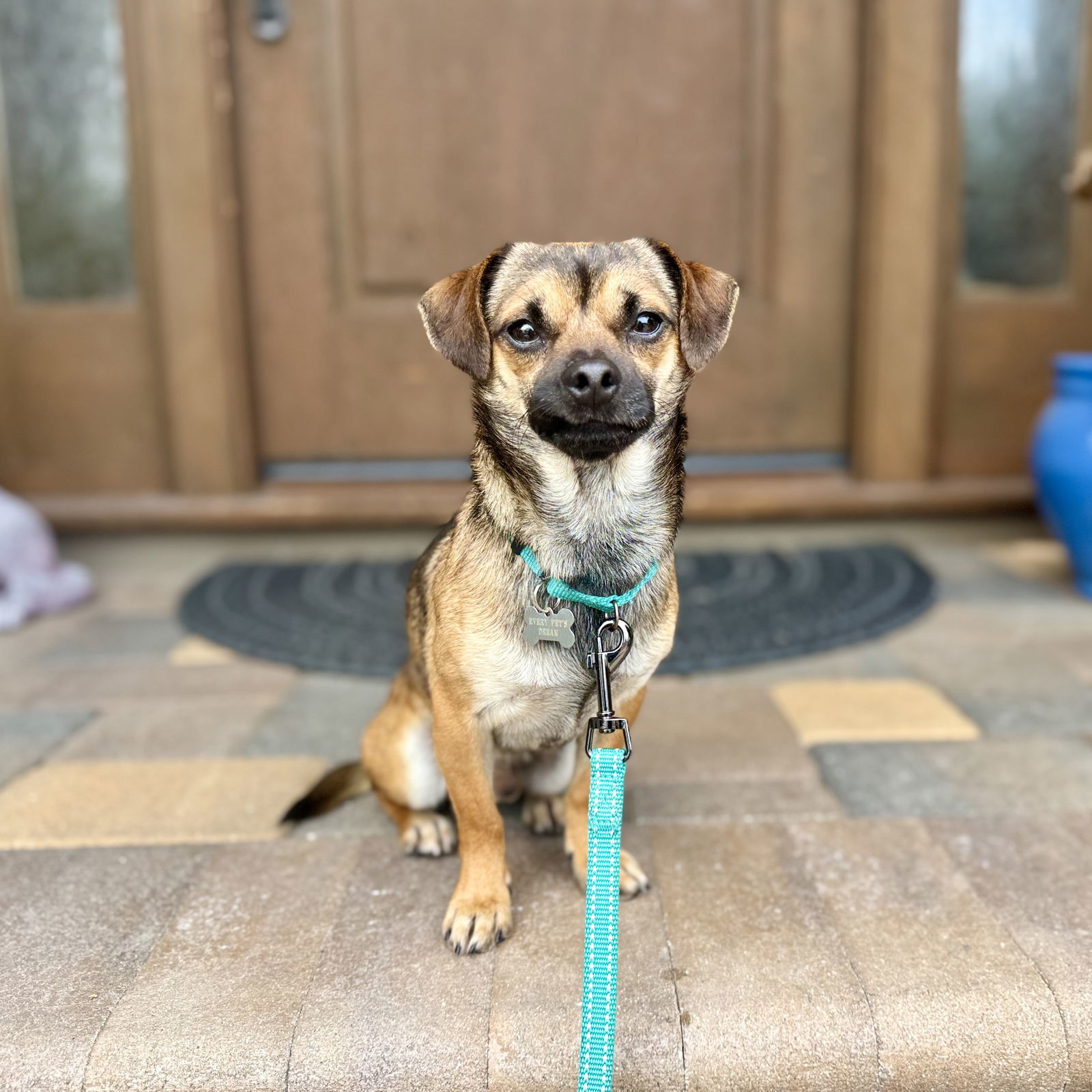 Charlie Boy