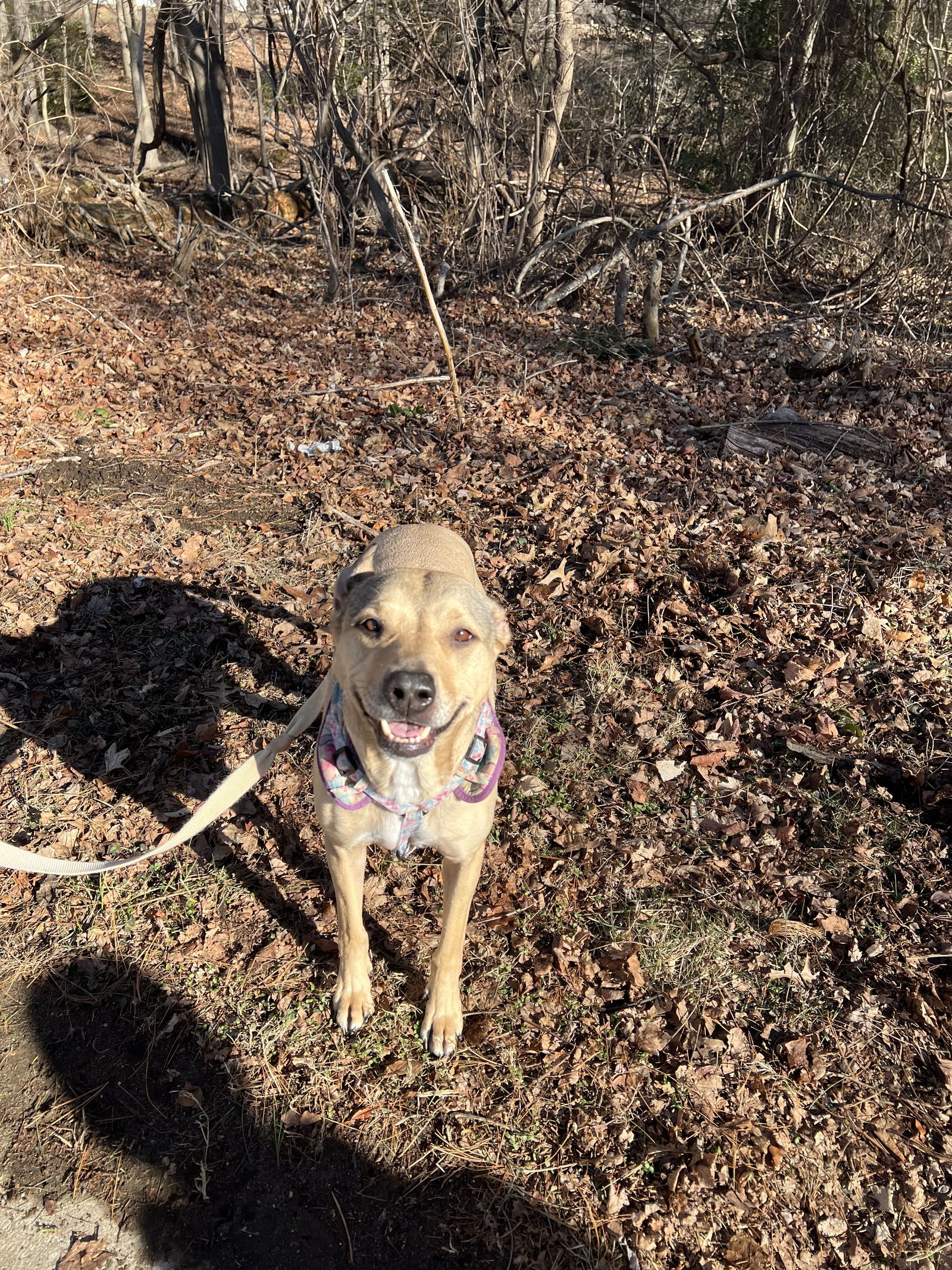 Maylee - Sweetheart!