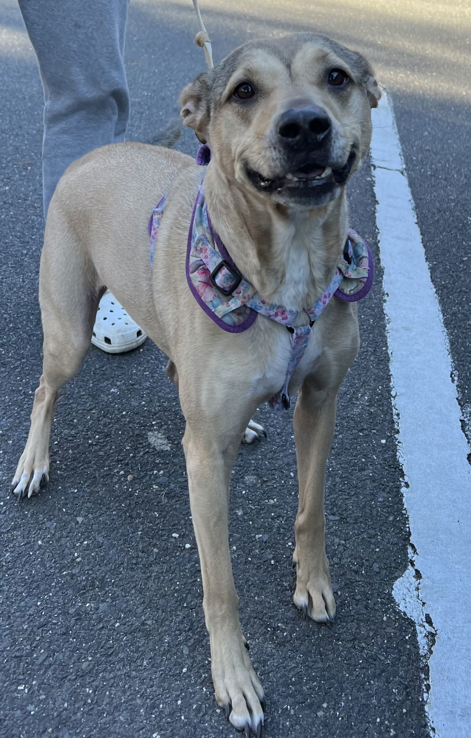 Maylee - Sweetheart!