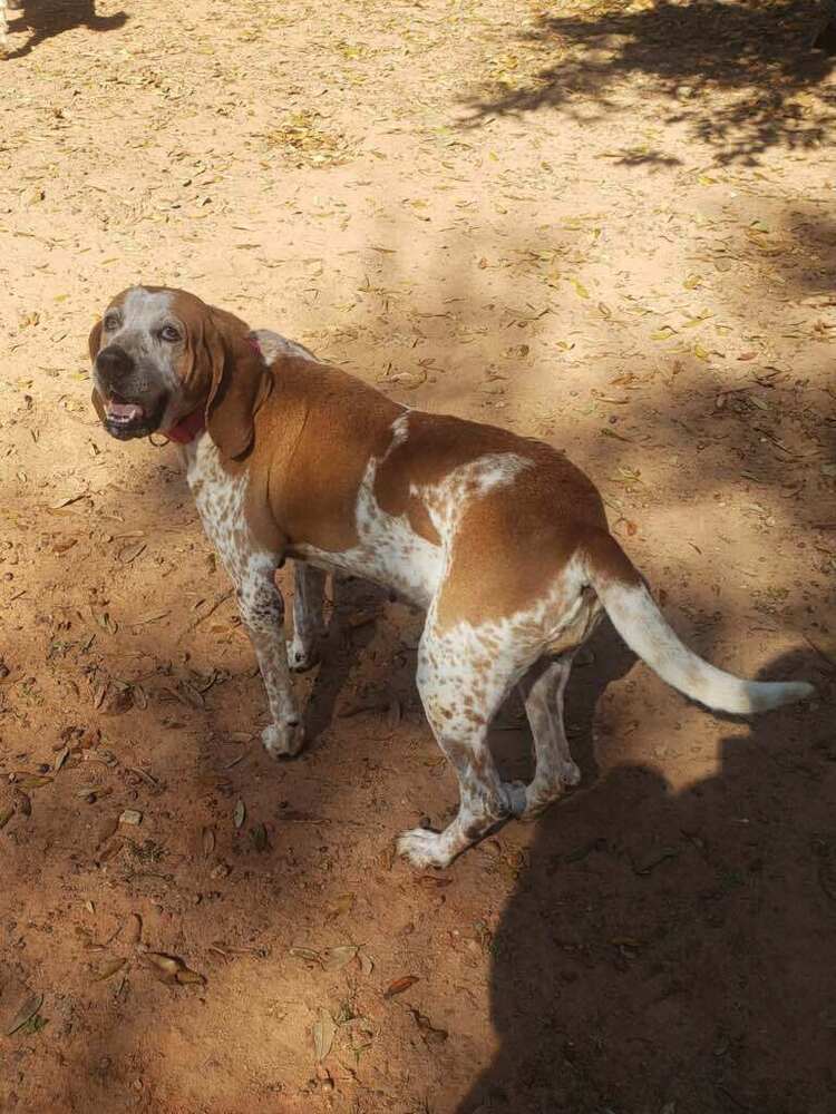 Zoey