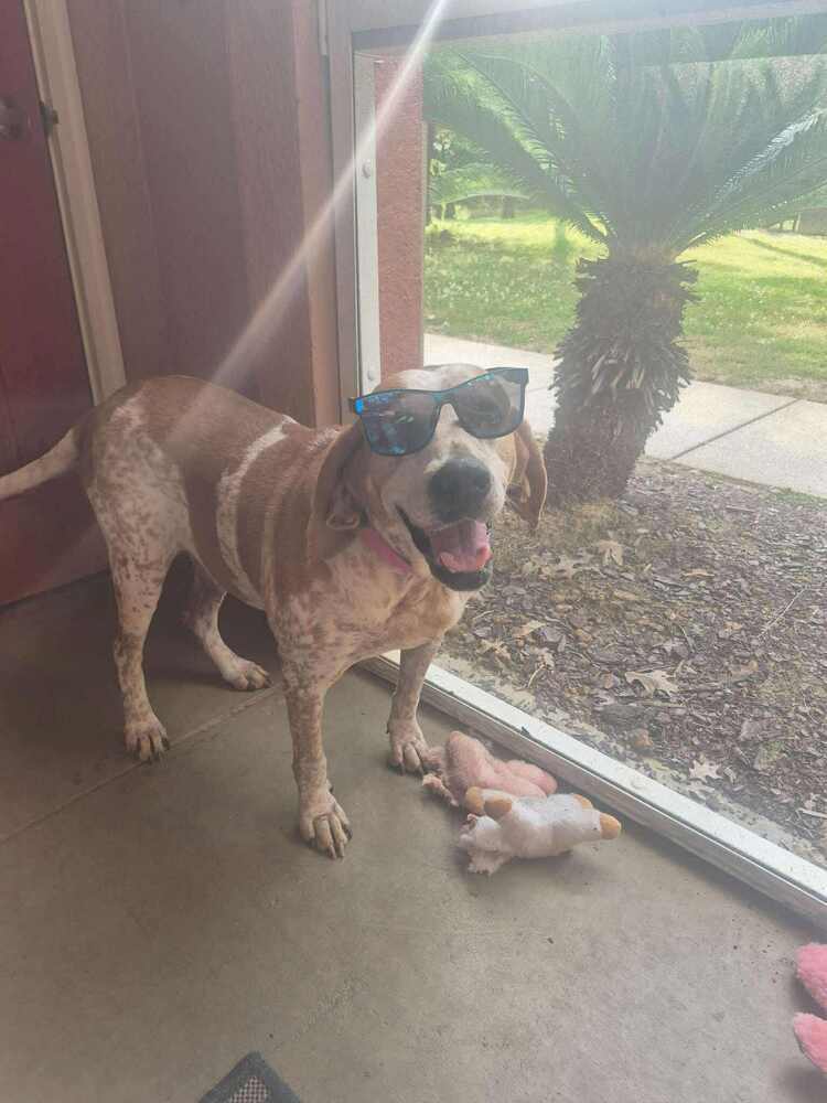 Zoey