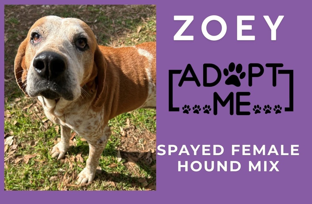 Zoey