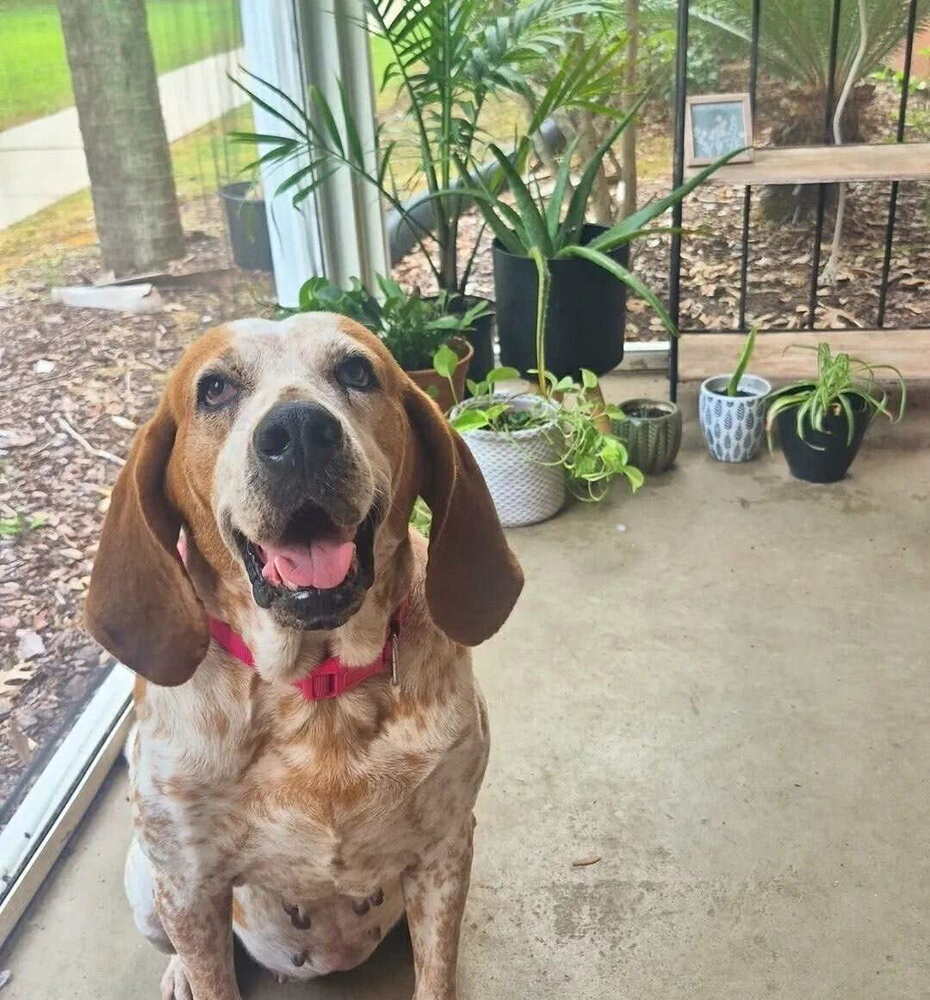 Zoey