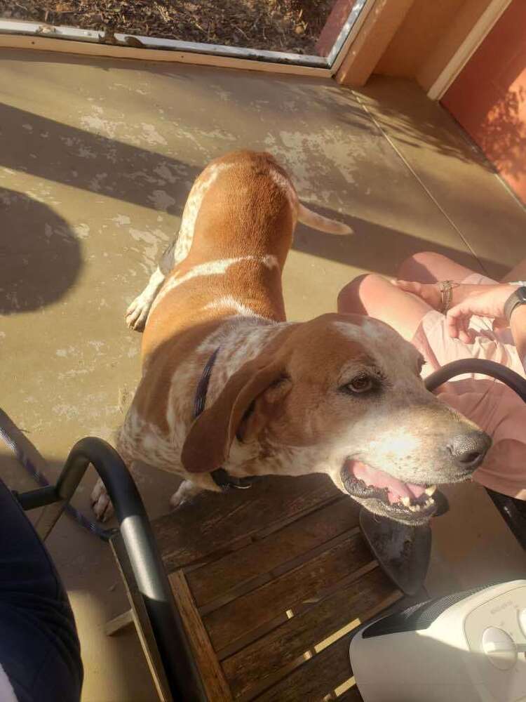 Zoey