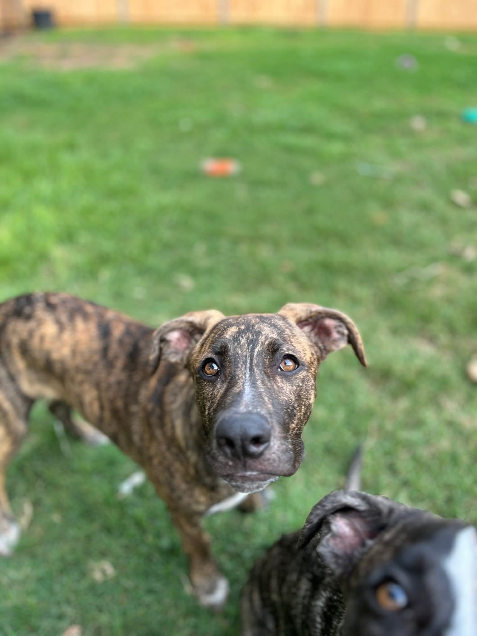 Ben