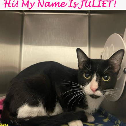 Juliet